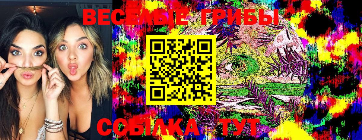 Псилоцибиновые грибы MAGIC MUSHROOMS  Вход с VPN  Санкт-Петербург 