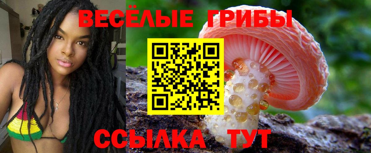 Галлюциногенные грибы GOLDEN TEACHER Санкт-Петербург